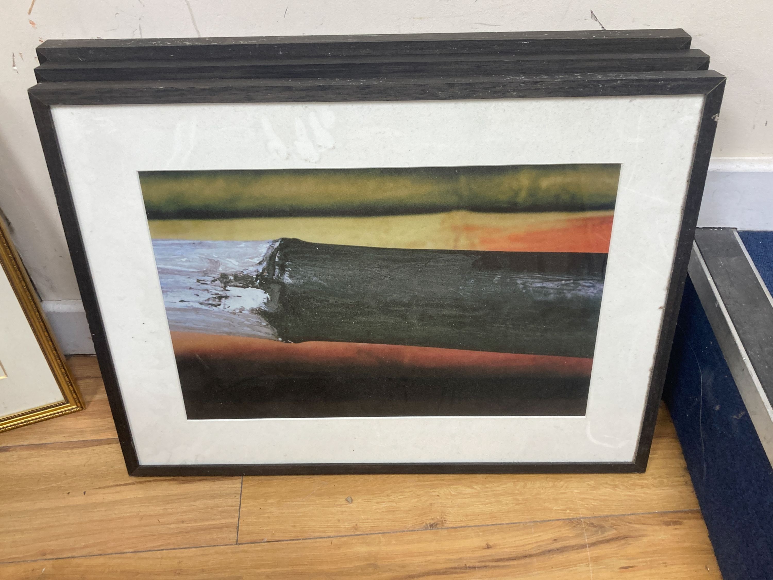 Barbara Nichols, five photographic studies of bamboo, 31 x 47cm.